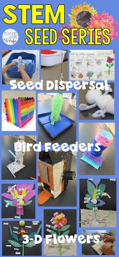 STEM challenges all about seeds. Three challenges with ways to teach each. April Stem Activities Elementary, Stem Cart, Stem Biology, Stem Bins, Plant Workshop, Flower Parts, Steam Lab, Elementary Stem, Art Preschool