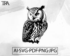 an owl sitting on top of a tree branch next to the words, al svg pp