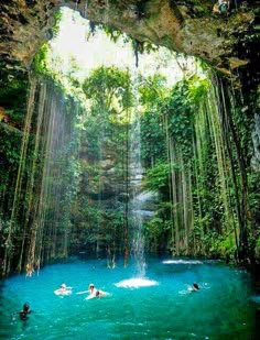 people swimming in a blue pool surrounded by greenery and hanging waterfalls at the base of a cave