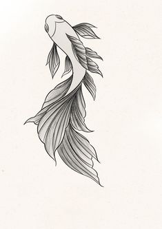 a black and white drawing of a fish with long, thin tail feathers on it's back