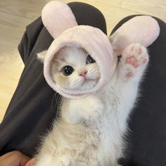 a small kitten wearing a pink bunny ears hat on top of it's head