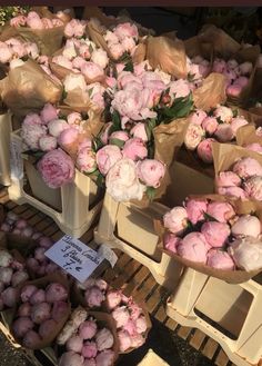 many pink flowers are on display for sale