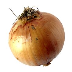 an onion is shown on a white background