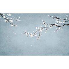 a branch with white flowers on it against a blue sky background, in the foreground