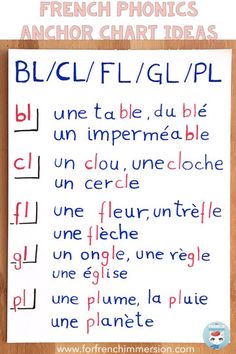 Phonics Anchor Charts, French Pronunciation