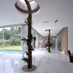 the interior of a modern house with large windows and plants in pots on the floor