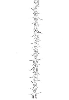 a black and white drawing of a plant with many spikes on it's side