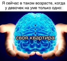 a person's hands holding a blue brain in front of the caption that reads,