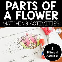 the parts of a flower matching activities for kids to practice their handwriting and writing skills