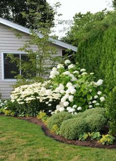 a garden with white flowers in front of a house