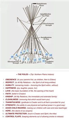 the diagram shows how many different types of wires are connected to each other, and what they