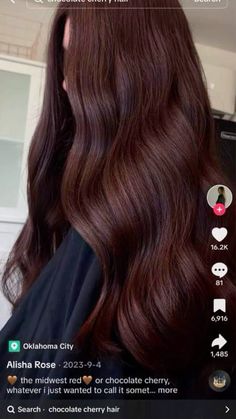 Auburn On Dark Hair, Medium Dark Auburn Hair, Berry Brunette Hair, What To Do With Black Hair, Medium Brown Hair Red Undertone, Dark Mohagany Brown Hair, Cherry Burnett, Dark Auburn Hair Balayage, Chocolate Brown Hair With Red Undertones