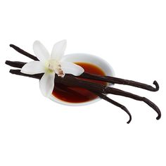 vanilla sticks and an orchid in a small white bowl filled with syrup on a white background