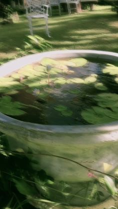 a large metal bowl filled with water lilies on top of a lush green field