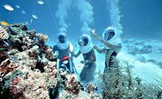 three people in scuba suits and helmets are standing on the bottom of a coral reef