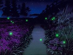 the pathway is lined with purple flowers and green lights in the dark sky above them