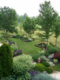 a lush green yard with lots of trees and bushes