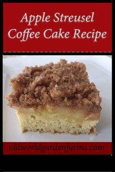 an apple streusel coffee cake recipe on a white plate with the title above it