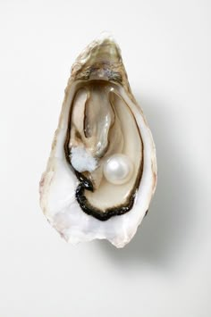 an open oyster with a pearl in it's shell on a white table top