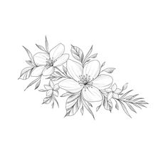 a drawing of flowers on a white background