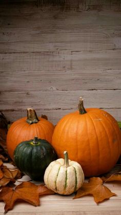 several pumpkins and leaves on a wooden surface