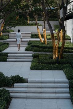 a person walking down some steps in the middle of trees and bushes with yellow lights on them