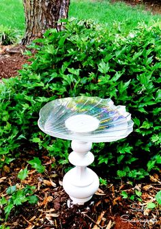 a glass dish sitting on top of a white pedestal in the grass next to a tree