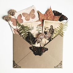 an envelope filled with lots of different types of leaves and pictures on it's side