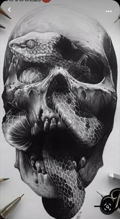 a pencil drawing of a skull with a snake on it's face and head