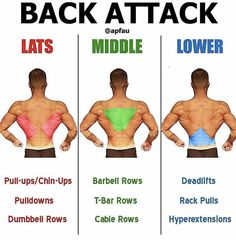 the back attack chart shows how to get rid from back fats and lower back pain