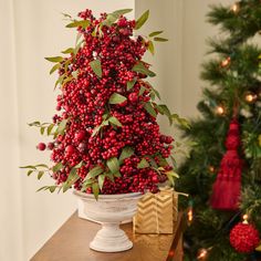 a christmas tree with red berries and green leaves in a white bowl on a table