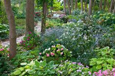 a garden filled with lots of different types of flowers and plants next to a bench