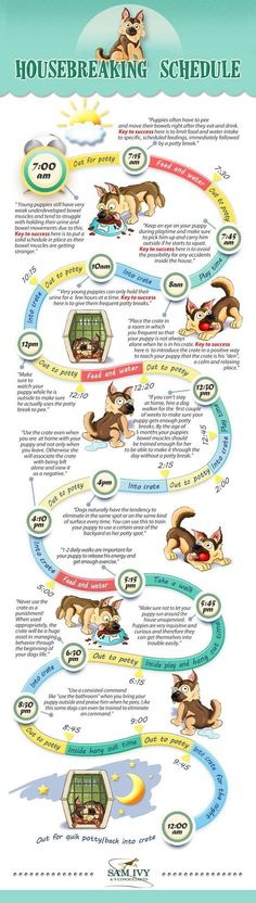 the house training schedule for dogs is shown in this poster, which shows how to use it