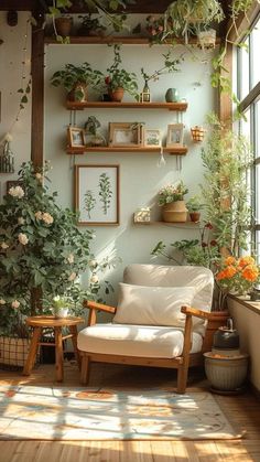 a living room filled with lots of plants and potted plants on the wall next to a window