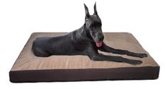 a large black dog laying on top of a brown bed with his tongue hanging out