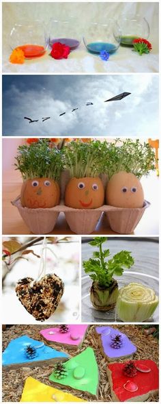 an assortment of different colored eggs with faces painted on them and plants growing out of them