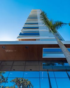 the side of a tall building with palm trees in front of it and blue sky