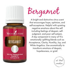 Bergamot Essential Oil Benefits, Helichrysum Essential Oil, Essential Oils 101, Yl Essential Oils