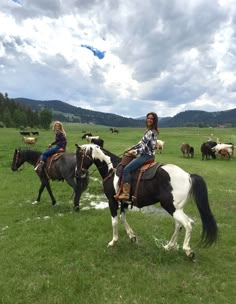 two people riding horses in a field with cows