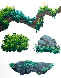 four different types of trees and rocks on a white background, each with green leaves