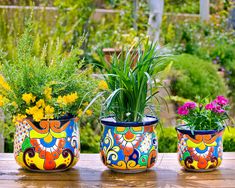 three flower pots with plants in them sitting on a wooden table next to some flowers