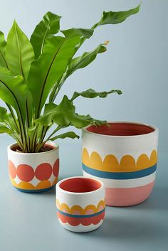 two planters with plants in them on a table