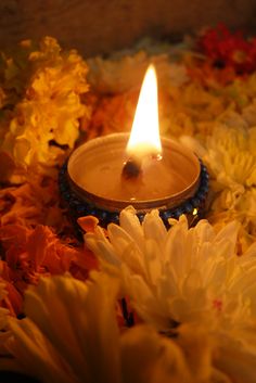 a lit candle surrounded by flowers and petals