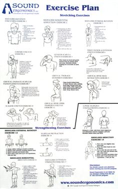 Scapula Exercises, Physio Exercises, Carpal Tunnel Exercises, Exercise Poster, Cardiac Sonography, Sonography Student