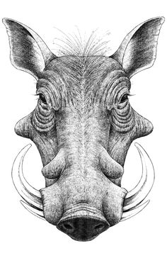 a drawing of a rhino's head with large horns and long, curved ears