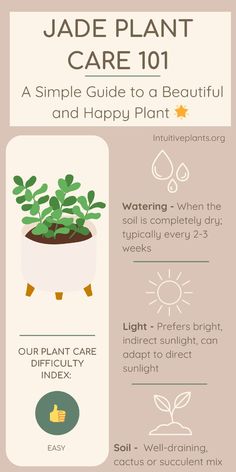 an info sheet describing how to care for jade plants in the garden and how to use it