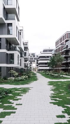 an empty walkway between two buildings in a city with grass and flowers on both sides