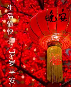 a red lantern with chinese writing on it in front of a tree filled with red leaves