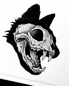 a black and white drawing of a cat's skull