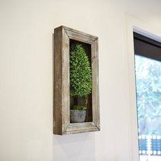 a potted plant in a wooden frame hanging on the wall